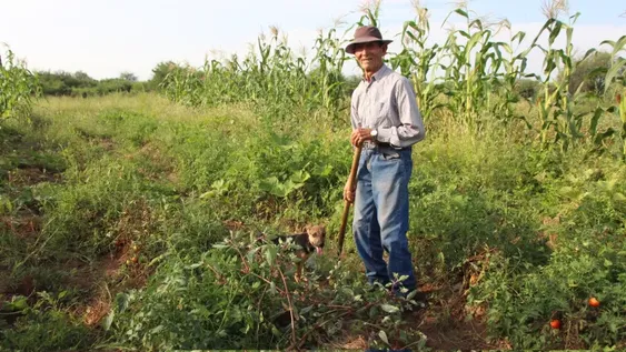 Tiene casi 90 años, pedalea 9 km diarios y trabaja la tierra como si fuera un adolescente