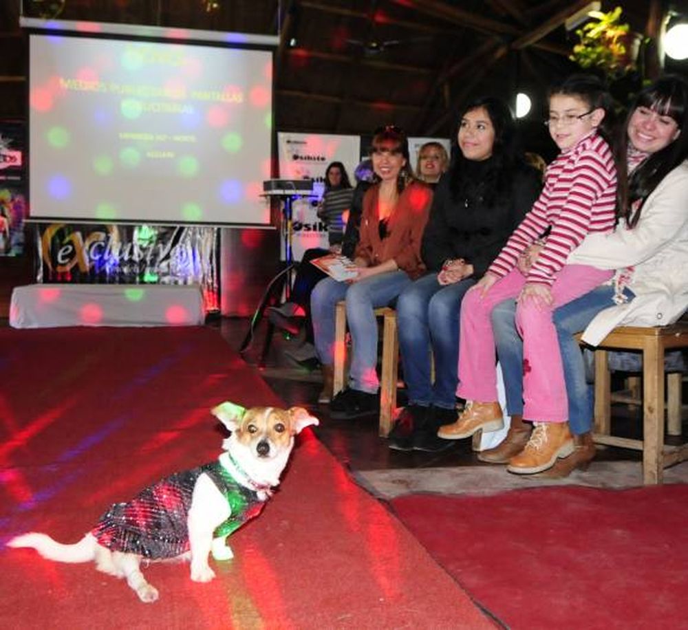 Los perros callejeros que enternecieron la pasarela