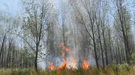 Emergencia ígnea para todo el país