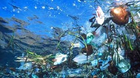 Basura en el Pacífico
