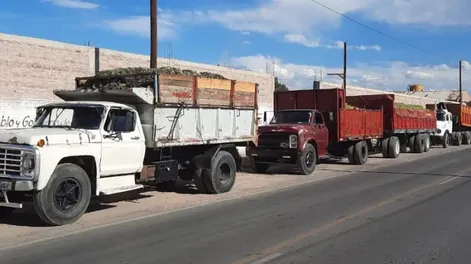 Diario de Cuyo | Los créditos de cosecha son uno de los que se rigen por tasas subsidiadas.