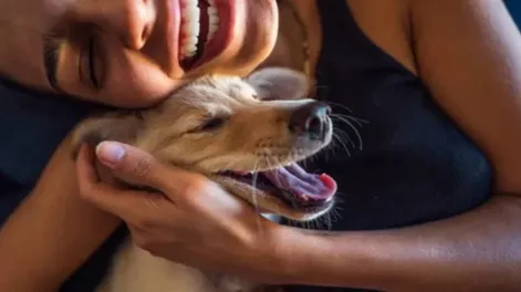 Una por una, las cosas que odian los perros de los humanos