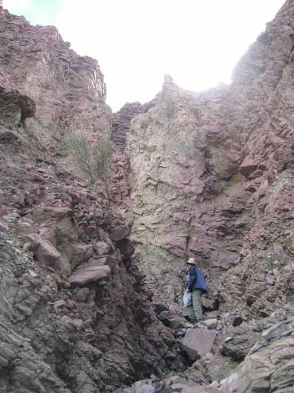 Uranio: Por Japón, quedó en stand by