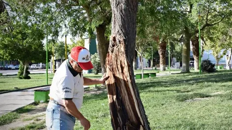 Diario de Cuyo | ddc041222 008f03_crop1670113145131 728x547.webp