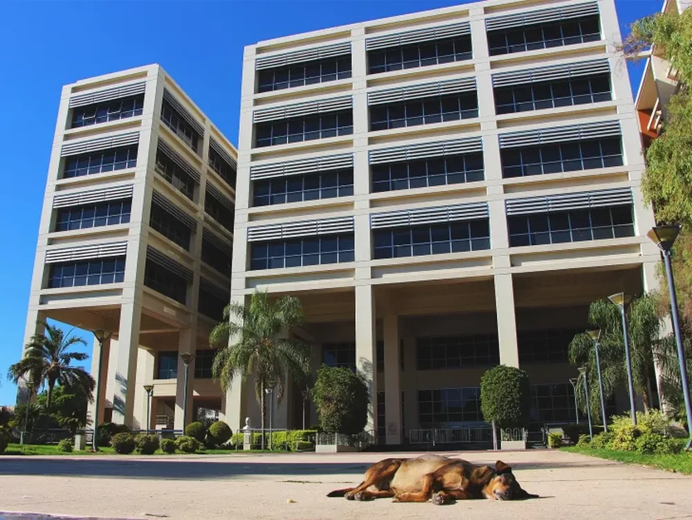 Domingo soleado y con temperatura agradable en San Juan