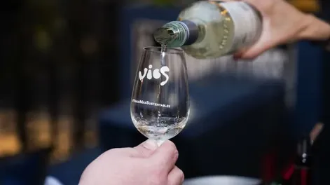 El vino orgánico crece a contramano del consumo global: San Juan se posiciona en tercer lugar