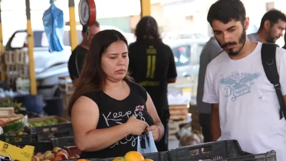 Limón, acelga y espinaca encabezan las fuertes subas de precio en la feria
