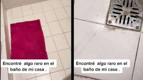 Abrió el desagüe de su baño, encontró algo rarísimo y generó todo tipo de especulaciones