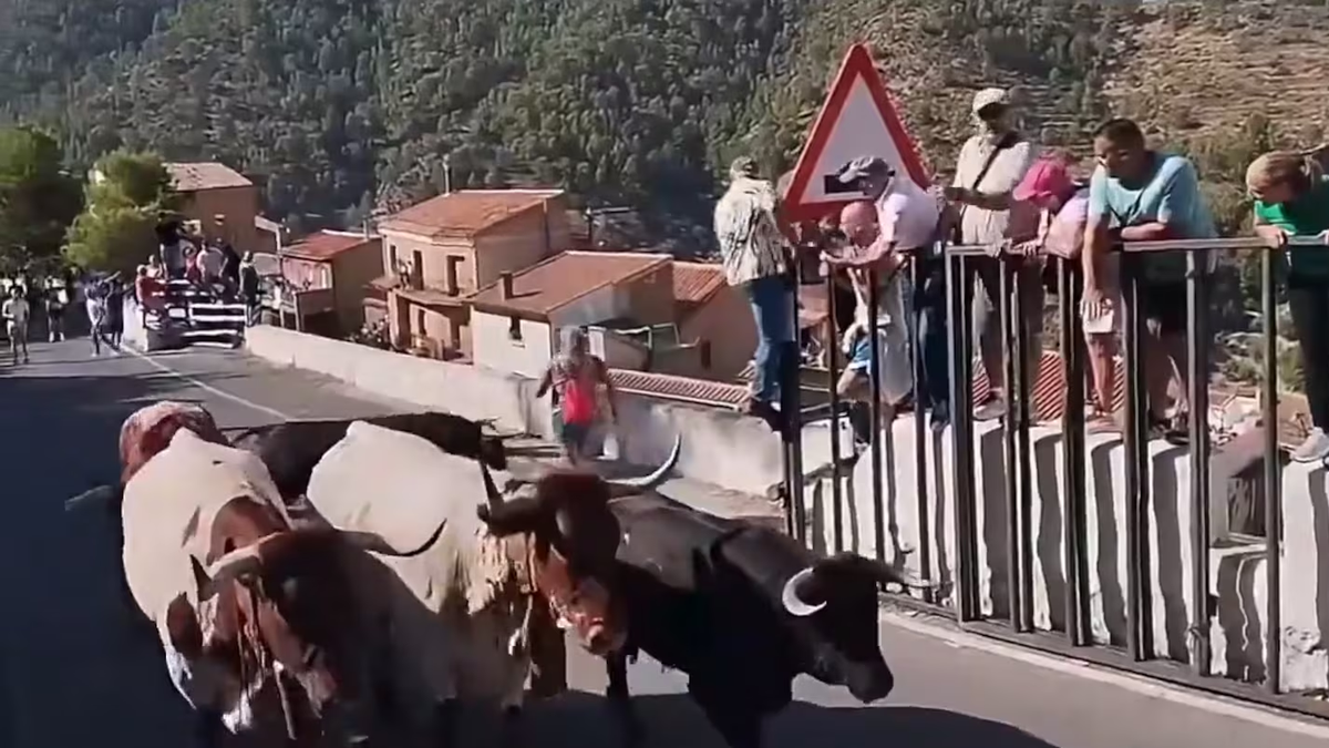 [VIDEO] Una mujer murió tras ser embestida por un toro durante una fiesta patronal en España