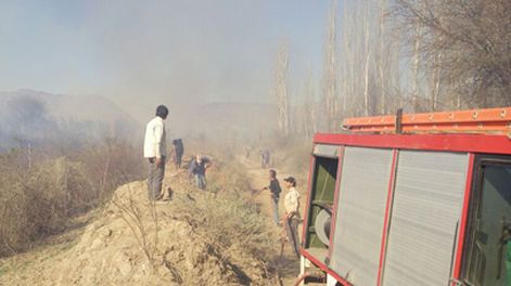 Defecó en un bosque, quemó el papel higiénico y provocó un incendio forestal