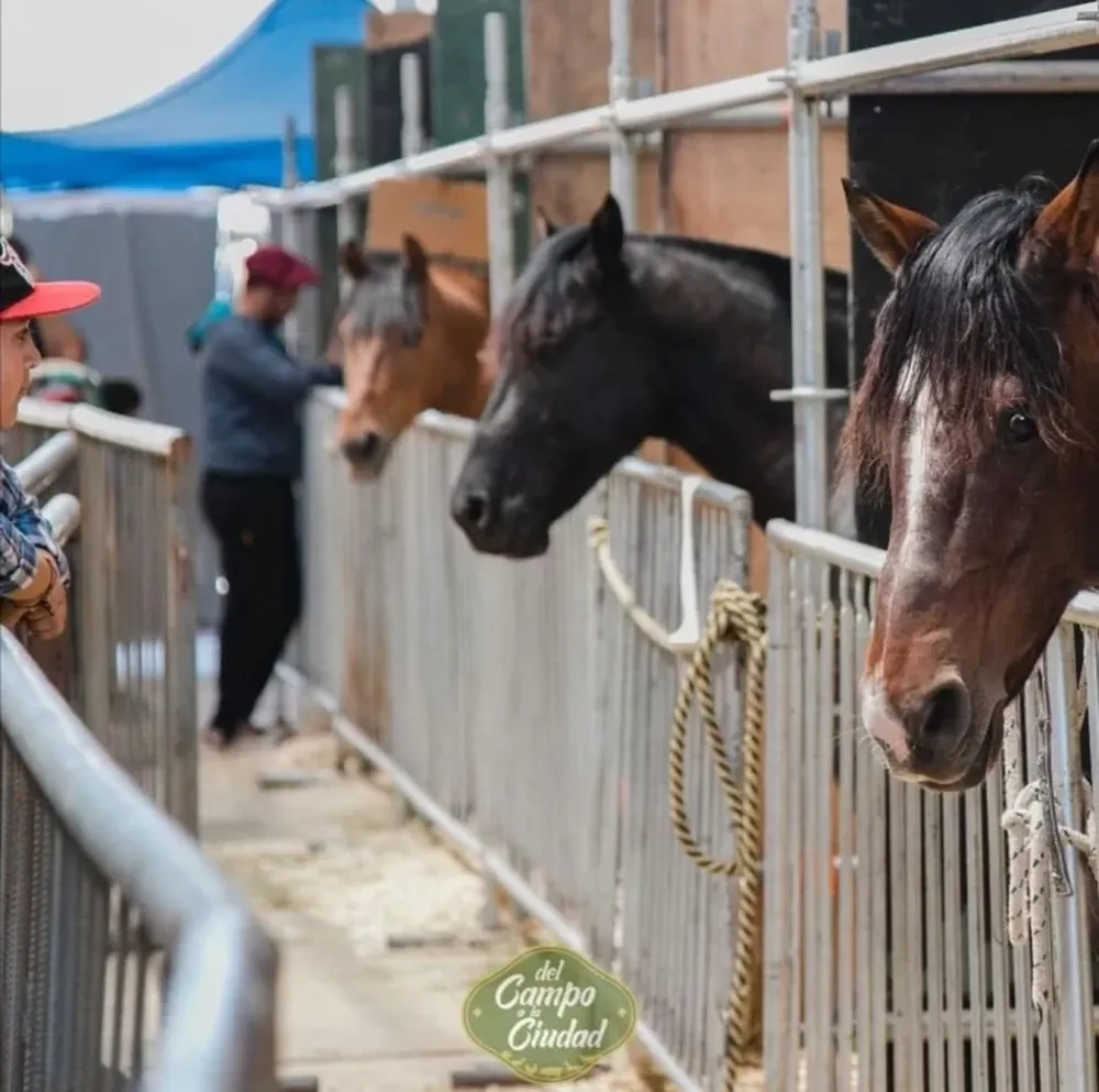 Expo Rural 2022, una nueva cita con la agroindustria