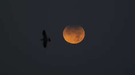 Así fue el eclipse de Luna “casi total”, el más largo desde 1440