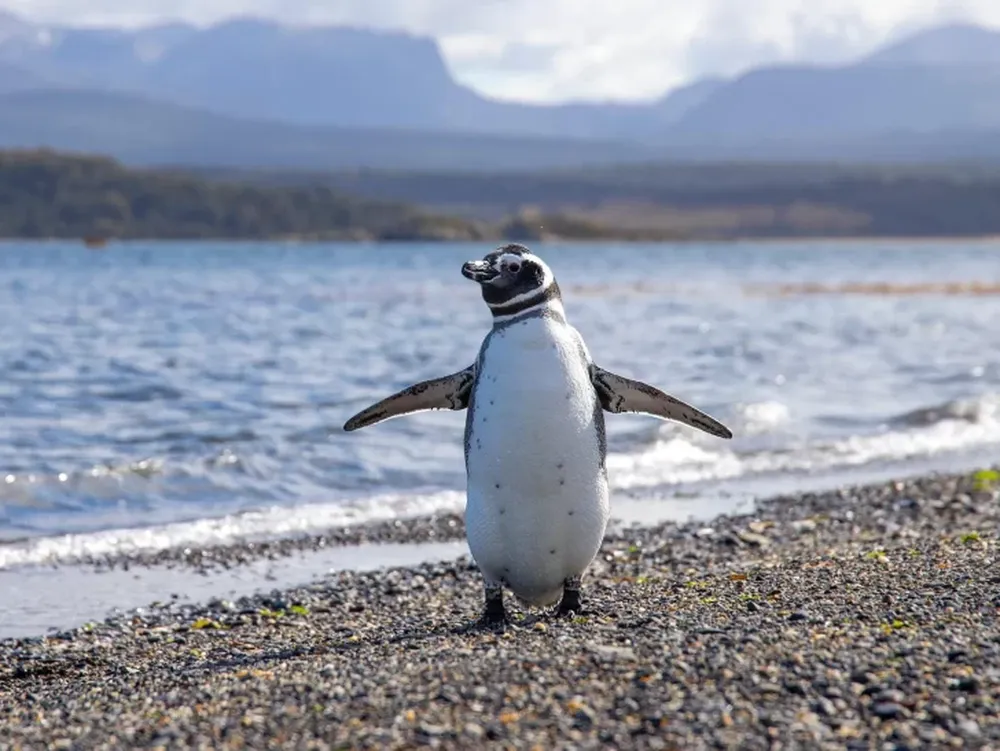 Río Grande, una ciudad para disfrutar