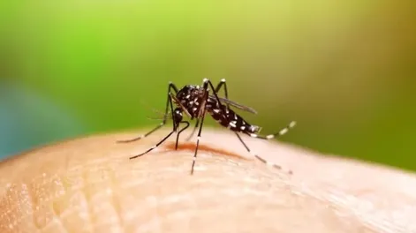 El dengue bate récords de casos y muertes en el país pero el pico aún no llegó