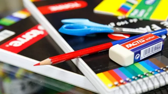 Ayuda Escolar Anual de Anses: cómo hacer el trámite, requisitos y el monto que vas a cobrar