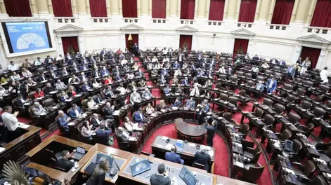 Cámara de Diputados Nacional.