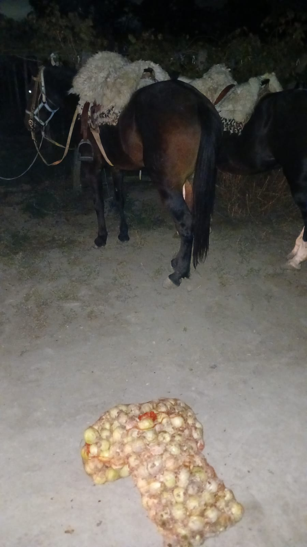 Robo de cebollas.