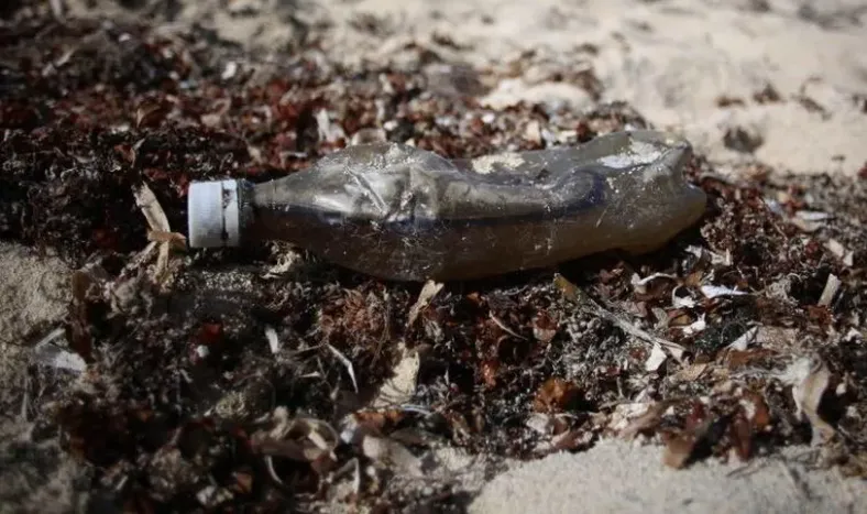 Prohíben los plásticos de un solo uso en los países del Caribe