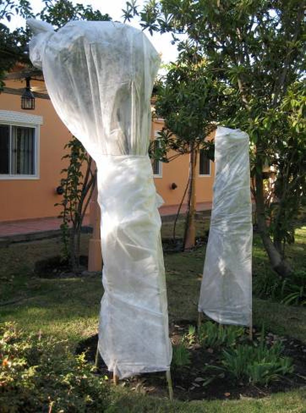 Temporada de abrigos