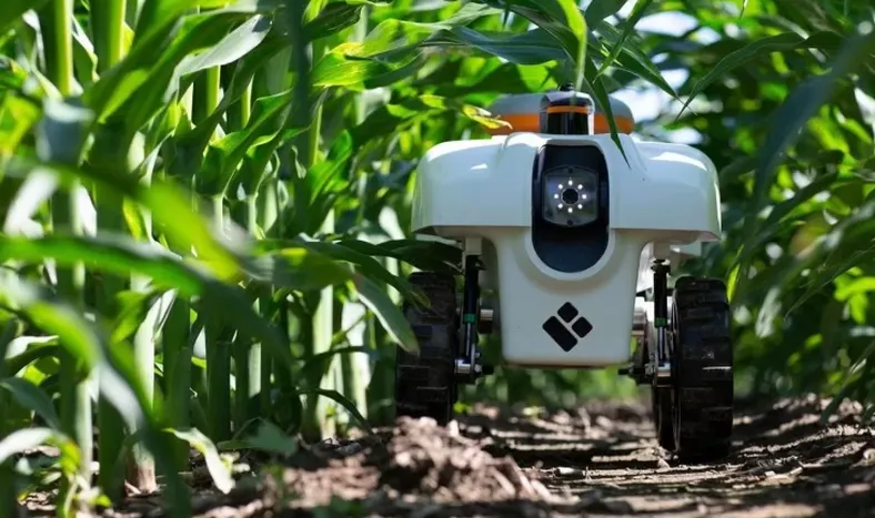 Inteligencia artificial: ¿hay sólo intereses científicos?