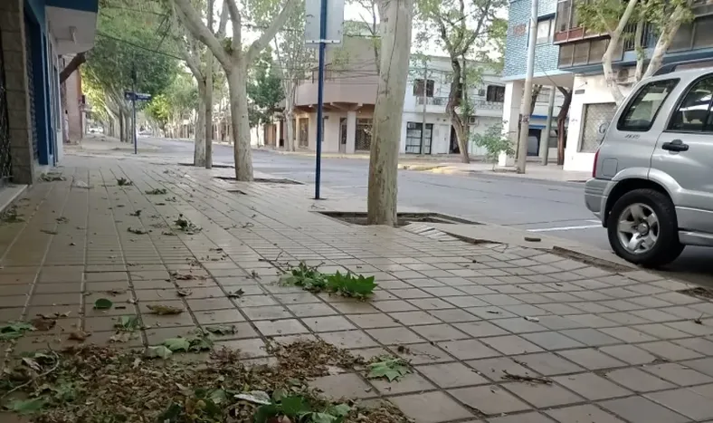 Domingo fresco y con viento Sur durante toda la jornada