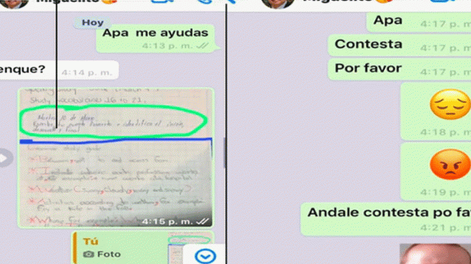 Le pidió ayuda a su papá con la tarea, copió literalmente su respuesta y se hizo viral