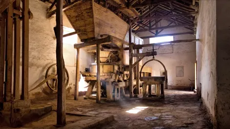 El viejo Molino de Huaco se encuentra dañado, un hecho lamentable, no sólo para los jachalleros, sino para los sanjuaninos y para los argentinos. Es Monumento Histórico Nacional, lo que refleja su importancia.