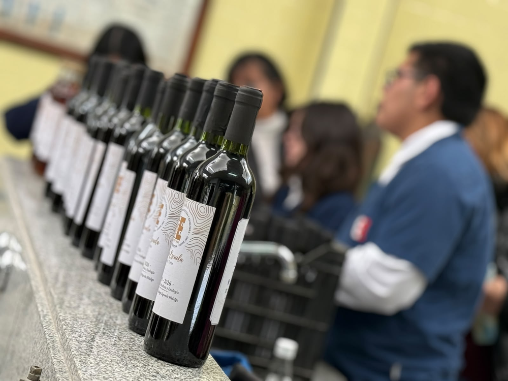 Botellas de 