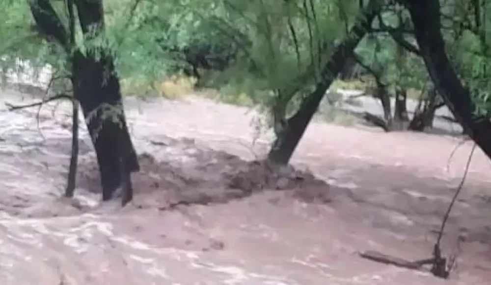 Imagen ilustrativa.-