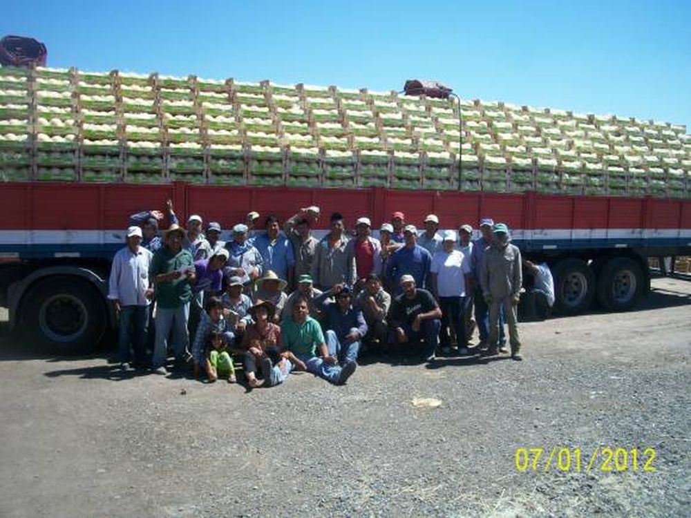 Avanzan los trámites para otorgar origen al melón de Media Agua
