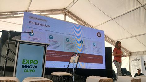 La fertilización fraccionada por goteo fue uno de los ejes de la primera charla de la jornada de pistacho, realizada en el auditorio del Banco San Juan en la Expo Innova Cuyo.