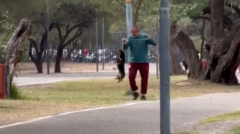 Rescataron a un perro salchicha tras un video de maltrato y la Justicia inició una causa en Catamarca