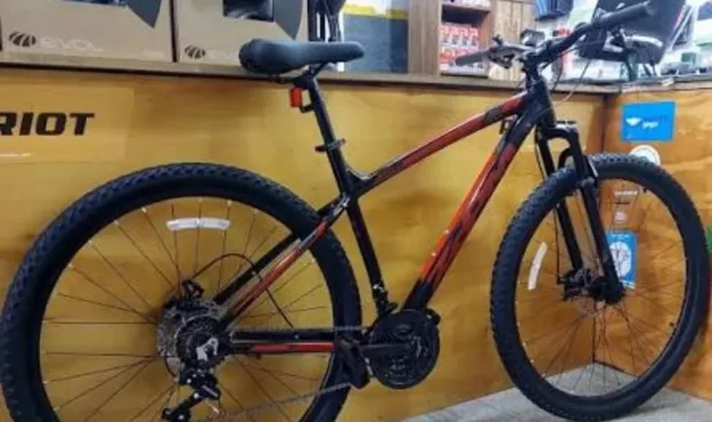 Detuvieron a un joven por robar una bicicleta en la Feria de Capital