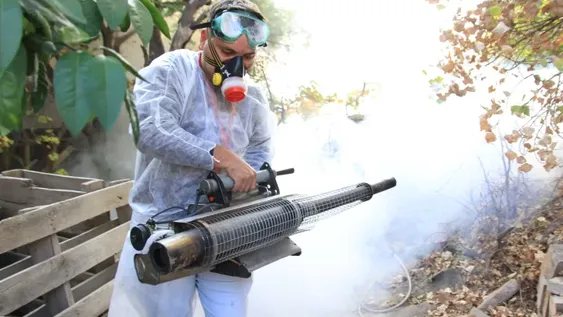 Ascendió a 75 la cantidad de casos de dengue autóctono en San Juan