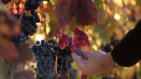 Imagen ilustrativa.&nbsp;