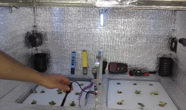 Hay bajos registros de “horas frío”, pero estiman aumentarán