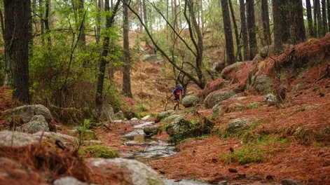Seis equipos sanjuaninos irán al duro Mundial de carreras de aventuras