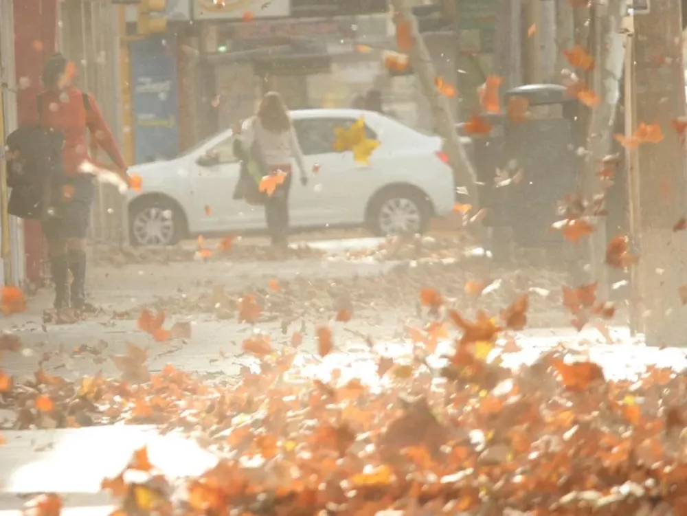 Según el SMN, durante la mañana de este lunes llegarán ráfagas de viento del Sudeste