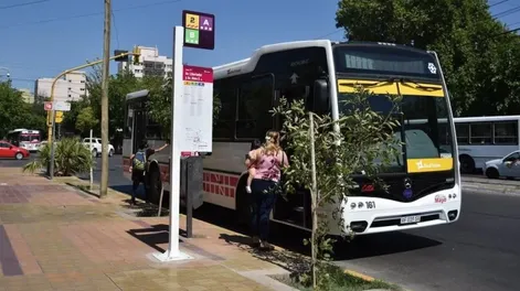 Paro de colectivos: reunión clave para evitar la medida de fuerza prevista para mañana