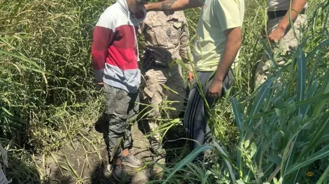 Crimen en Pocito: atraparon al asesino, había utilizado un cuchillo tipo carnicero