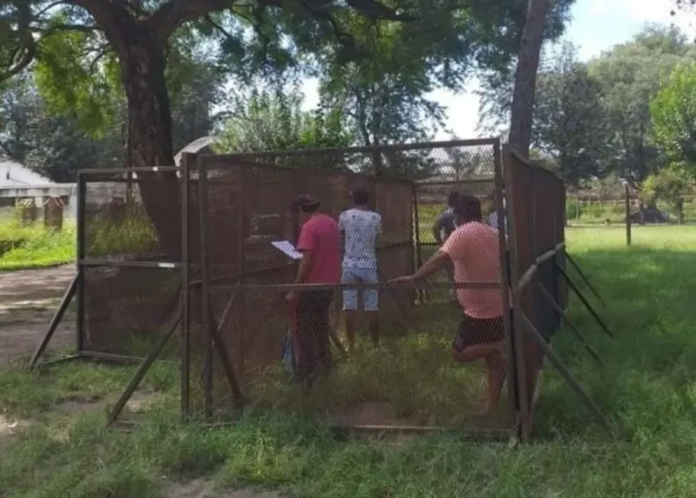 Violaron la cuarentena y los encerraron en una jaula