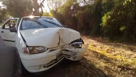Perdió el control y se estrelló contra un árbol: iba ebrio, pero dijo que quiso esquivar un perro