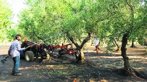 Análisis de los grandes desafíos sectoriales, por cada actividad