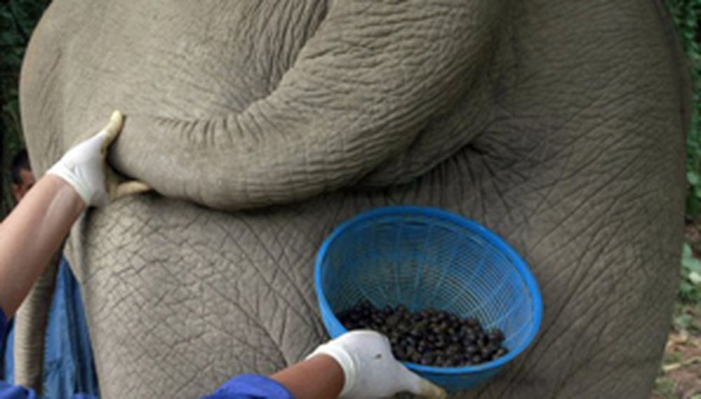 ¡Que rico café!