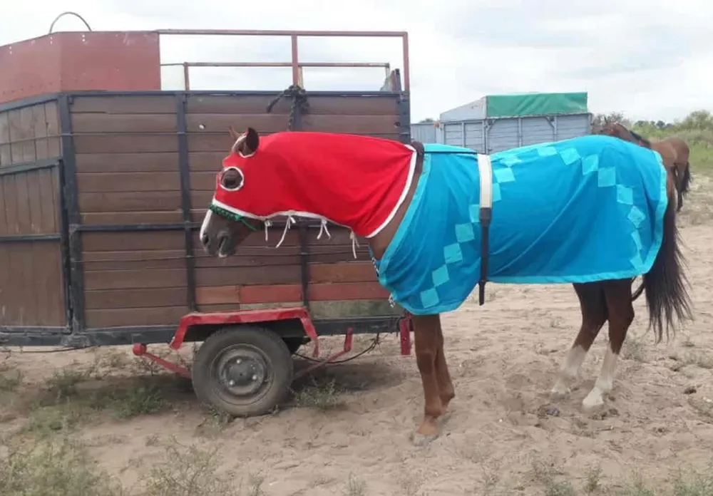 Una carrera ilegal de caballos