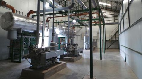 Iceberg Agrícola apunta muy alto: alimentos congelados al mundo