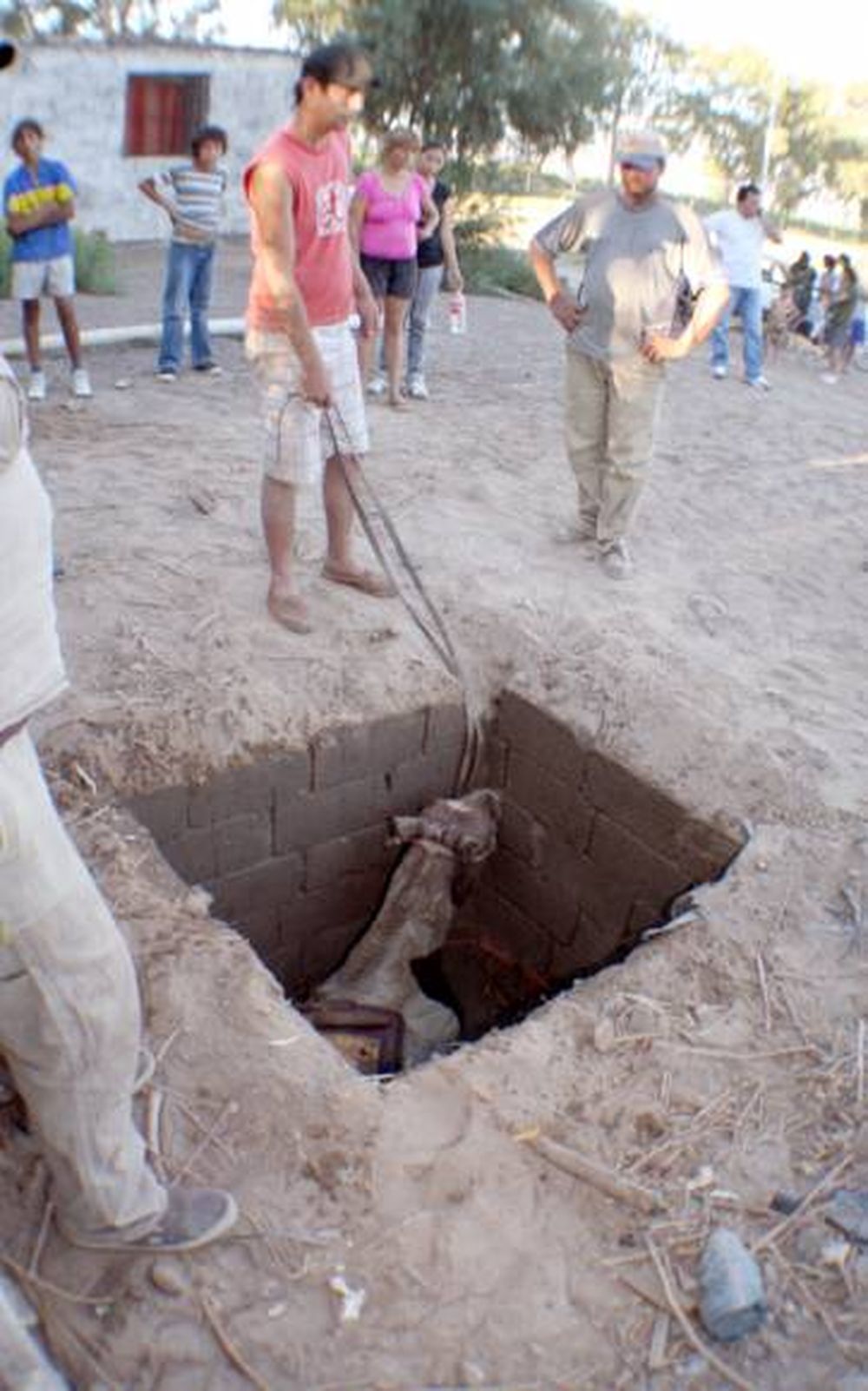 Drama por un caballo que cayó a un pozo