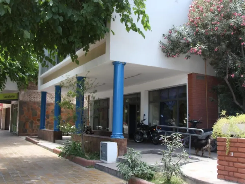 Chocó en su camioneta contra un árbol y quedó inconsciente: está grave