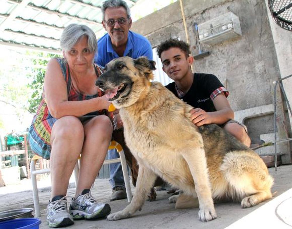 Simba, libre y con un nuevo hogar