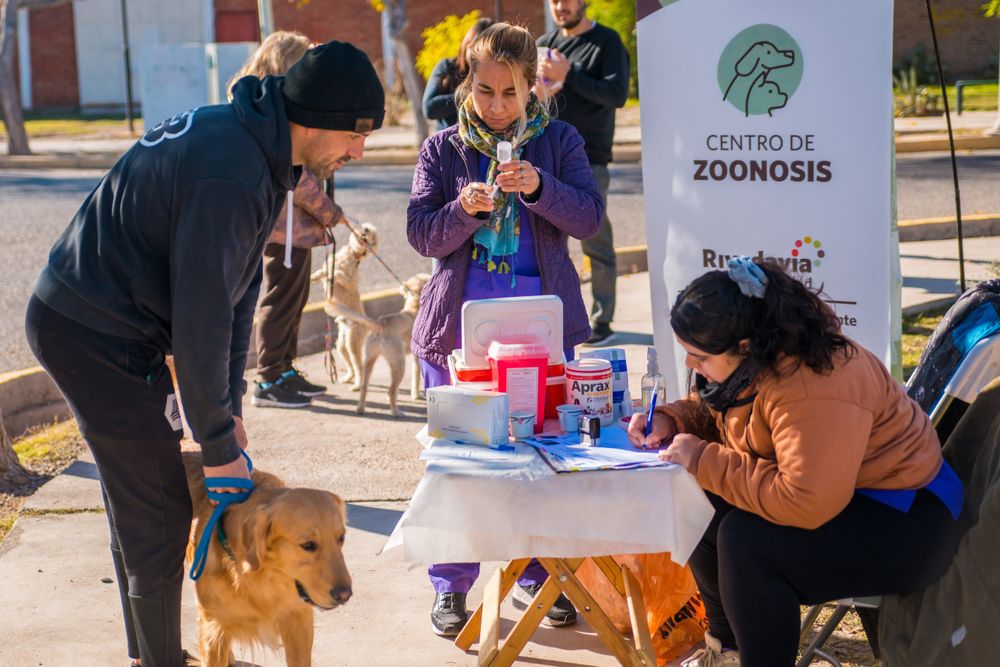Se viene un operativo de esterilización de mascotas y de ecocanje en Rivadavia.